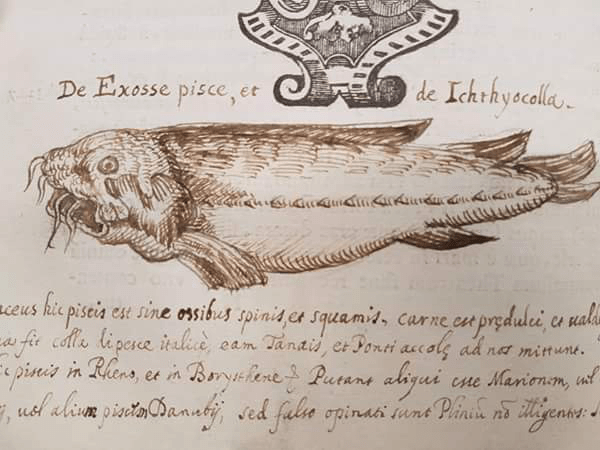 3611e557-b25d-4065-bf47-e8dd17f6adbd